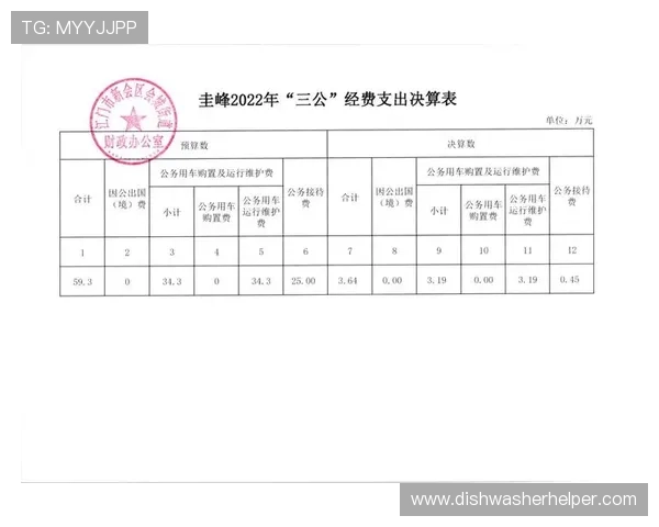 三公经费是哪三公的节约措施与优化策略,助力政府财政的可持续发展 三公经费是哪三公的节约措施与优化策略,助力政府财政的可持续发展
