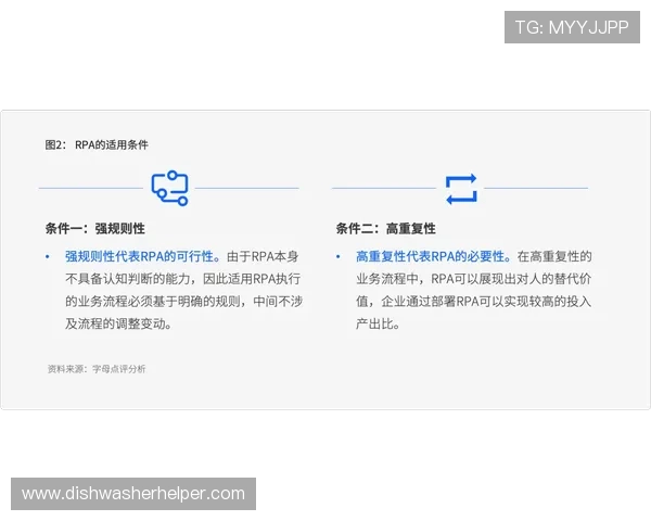 必赢3003am常见问题与客服支持指南，帮助玩家快速解决使用中的疑难
